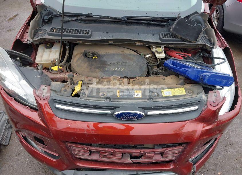 Photo 10 of 2014 Ford Escape SE (VIN 1FMCU9GX3EUA45535)