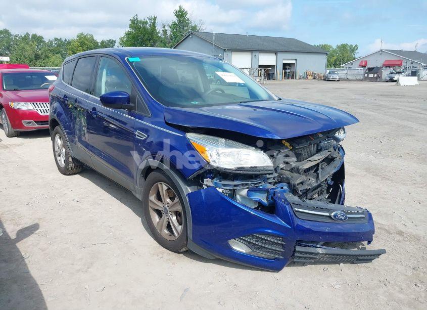 2014 Ford Escape SE (VIN 1FMCU9GX3EUB13560) main photo