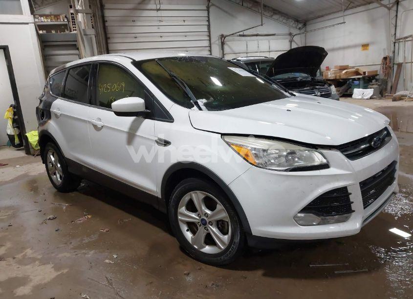 2014 Ford Escape SE (VIN 1FMCU9GX3EUB25983) main photo