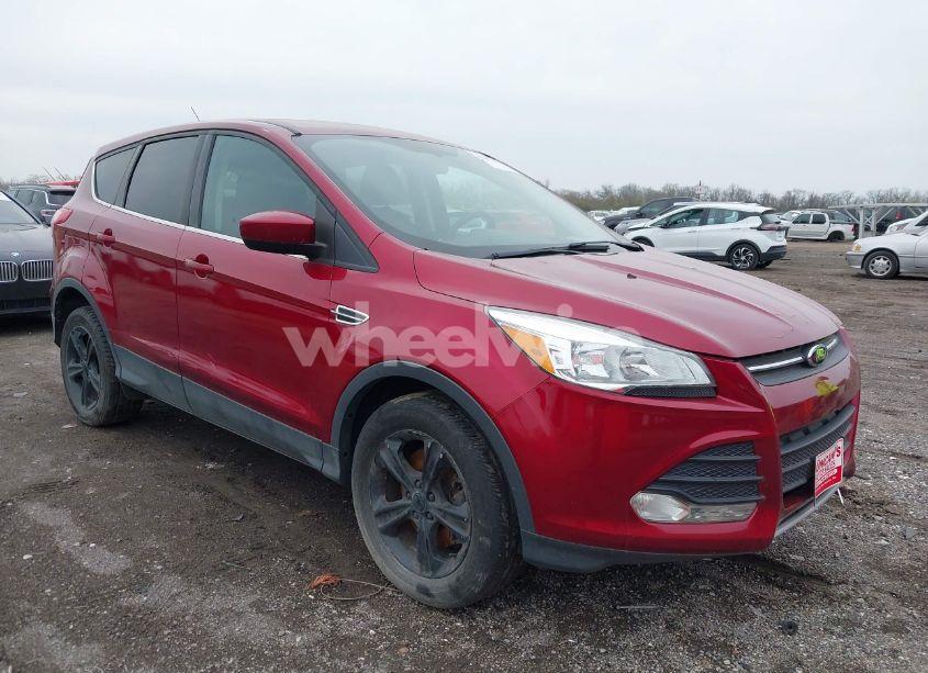 2014 Ford Escape SE (VIN 1FMCU9GX3EUB41617) main photo