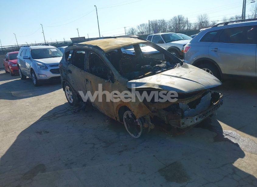 2014 Ford Escape SE (VIN 1FMCU9GX3EUB75539) main photo