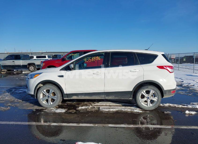 Photo 14 of 2014 Ford Escape SE (VIN 1FMCU9GX3EUC46397)