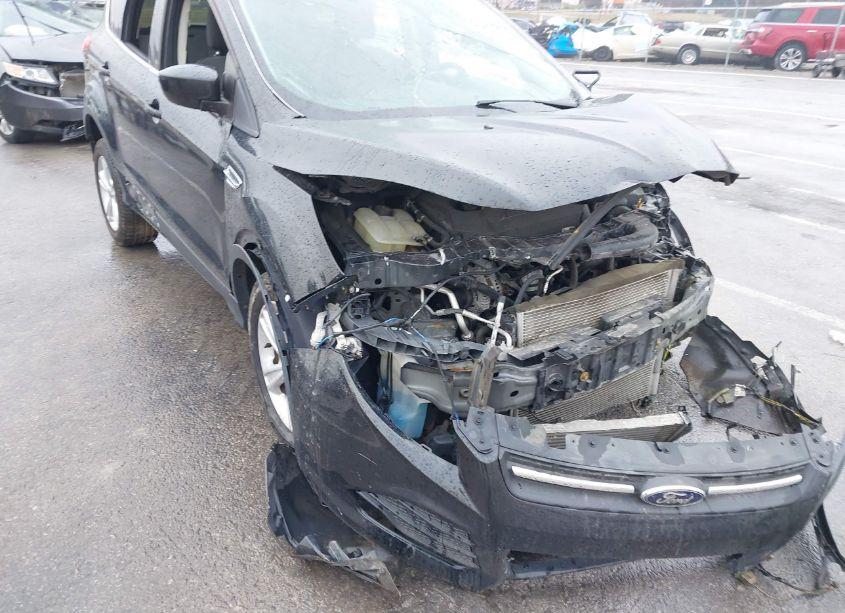 Photo 11 of 2014 Ford Escape SE (VIN 1FMCU9GX3EUC63989)