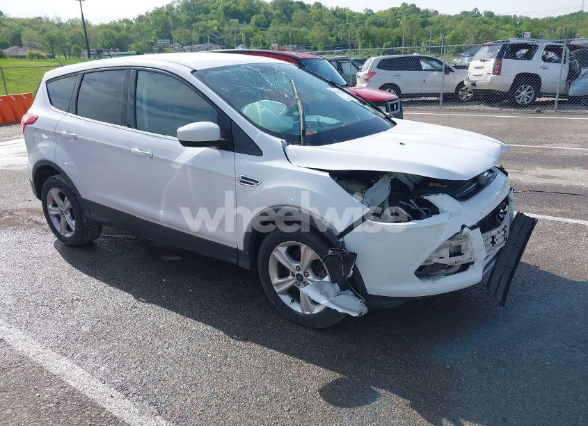 2014 Ford Escape SE (VIN 1FMCU9GX3EUE15253) main photo