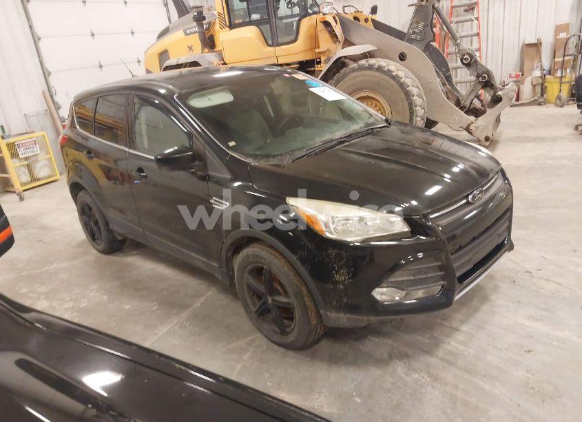 2014 Ford Escape SE (VIN 1FMCU9GX3EUE38404) main photo