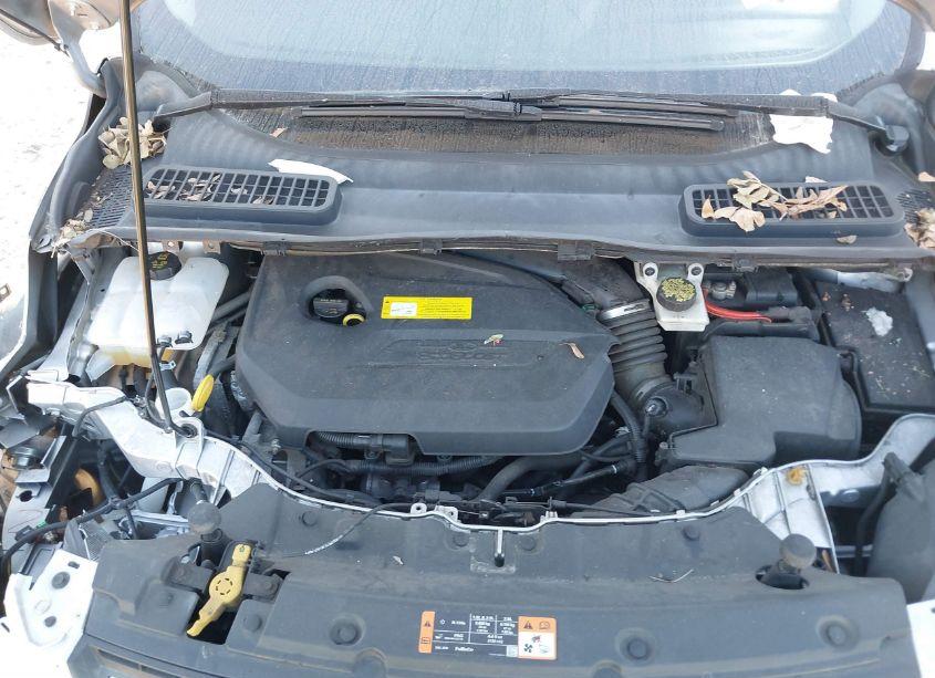 Photo 10 of 2015 Ford Escape SE (VIN 1FMCU9GX3FUC63332)