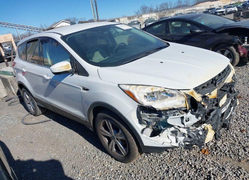 2016 Ford Escape SE (VIN 1FMCU9GX3GUB62308) main photo