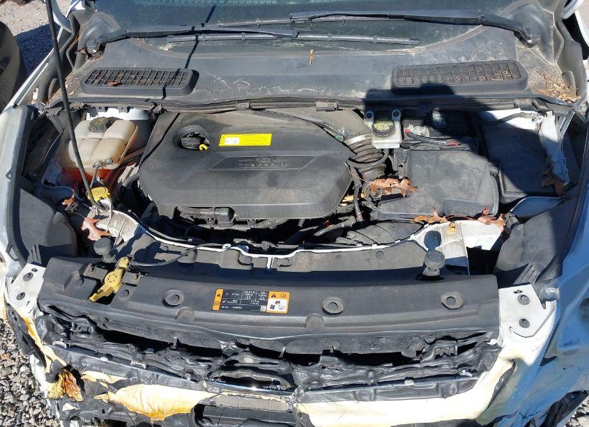 Photo 10 of 2016 Ford Escape SE (VIN 1FMCU9GX3GUB62308)