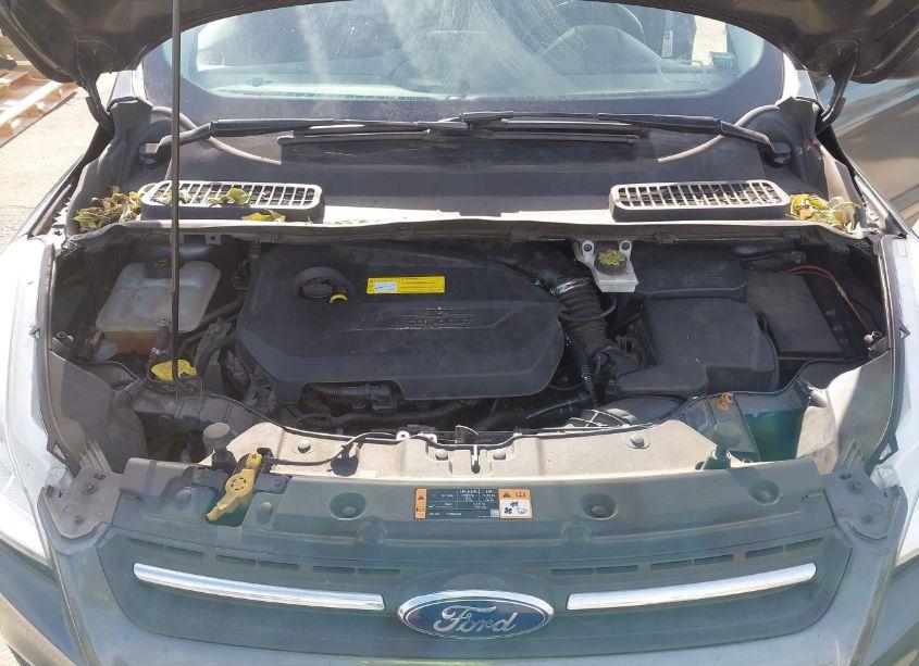 Photo 10 of 2016 Ford Escape SE (VIN 1FMCU9GX3GUC25049)