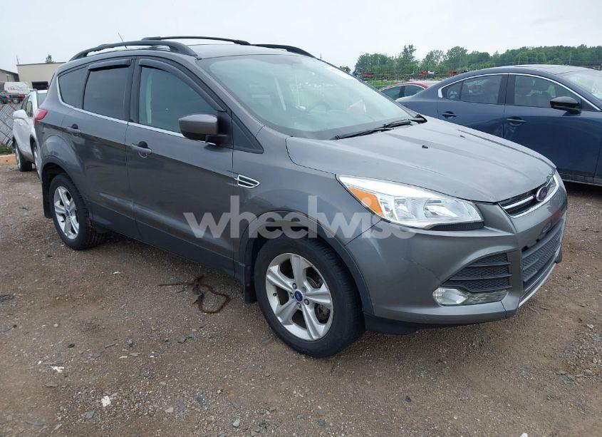 2014 Ford Escape SE (VIN 1FMCU9GX4EUA83808) main photo
