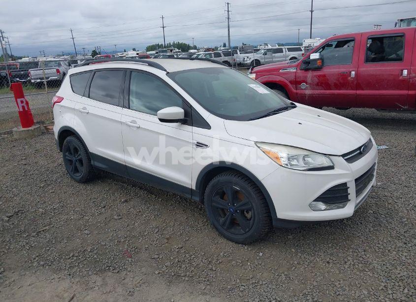 2014 Ford Escape SE (VIN 1FMCU9GX4EUB09341) main photo