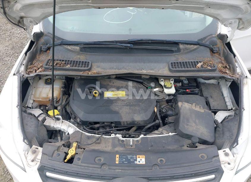 Photo 10 of 2014 Ford Escape SE (VIN 1FMCU9GX4EUB09341)