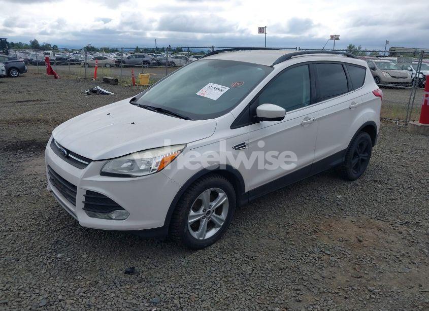 Photo 2 of 2014 Ford Escape SE (VIN 1FMCU9GX4EUB09341)