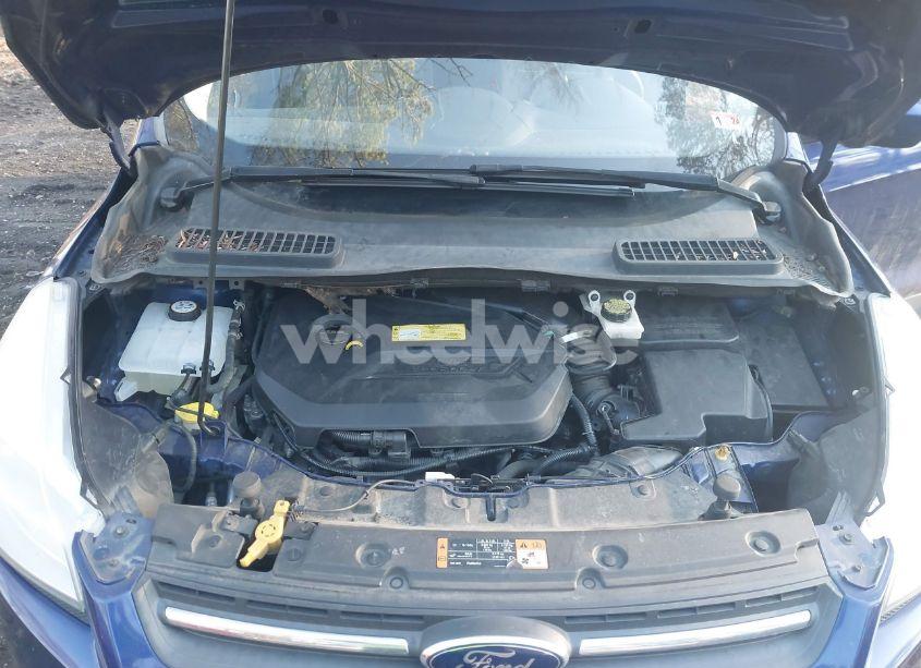 Photo 10 of 2014 Ford Escape SE (VIN 1FMCU9GX4EUB83679)