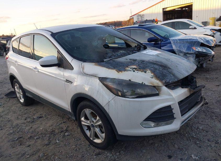 2014 Ford Escape SE (VIN 1FMCU9GX4EUC76900) main photo