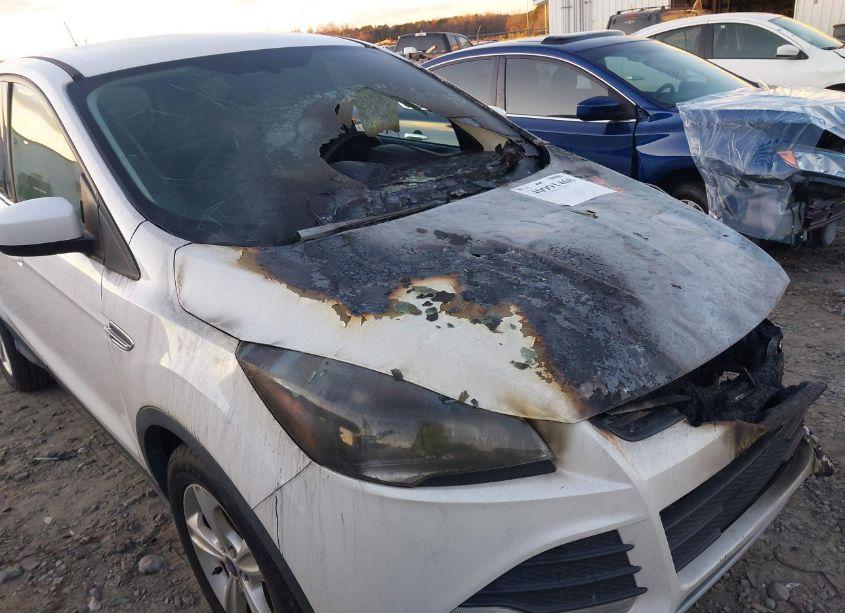 Photo 15 of 2014 Ford Escape SE (VIN 1FMCU9GX4EUC76900)