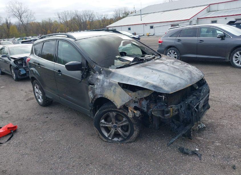 2014 Ford Escape SE (VIN 1FMCU9GX4EUC84172) main photo