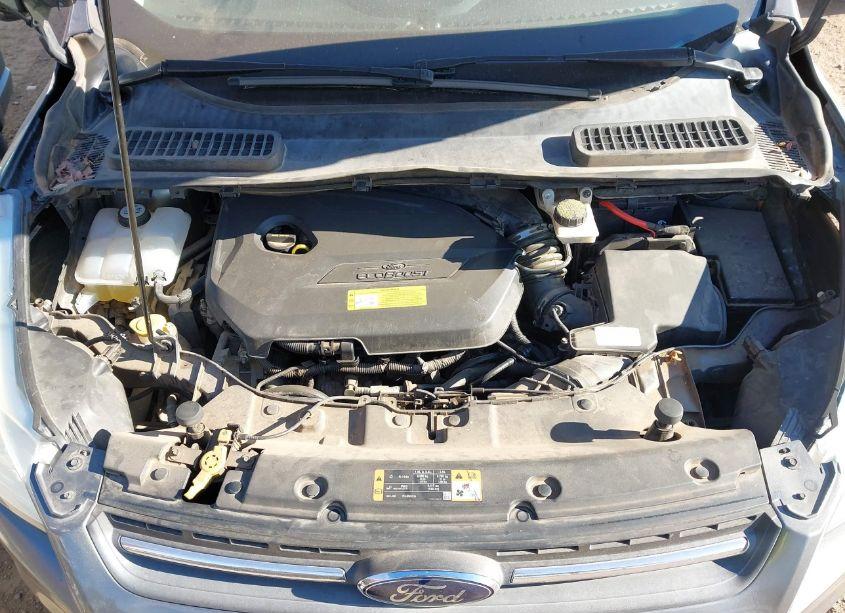 Photo 10 of 2014 Ford Escape SE (VIN 1FMCU9GX4EUD32415)
