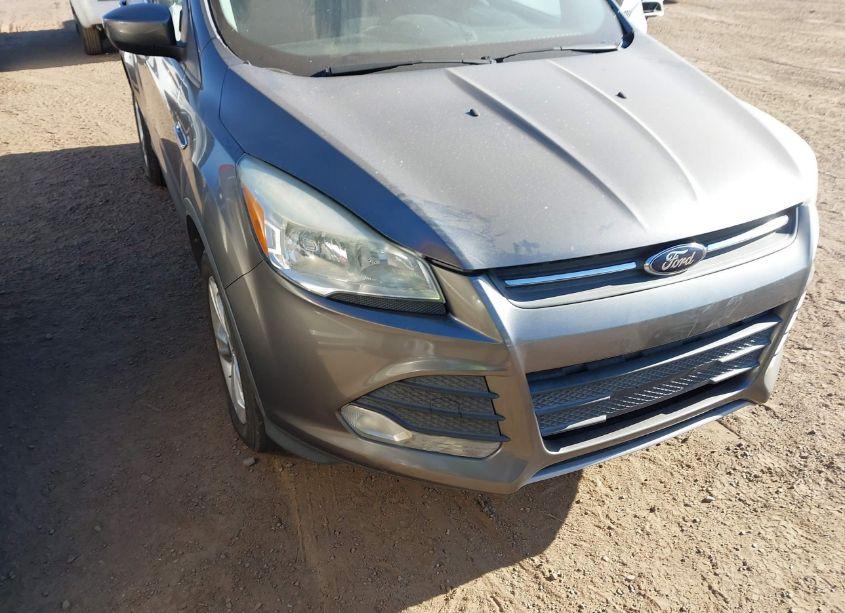 Photo 6 of 2014 Ford Escape SE (VIN 1FMCU9GX4EUD32415)