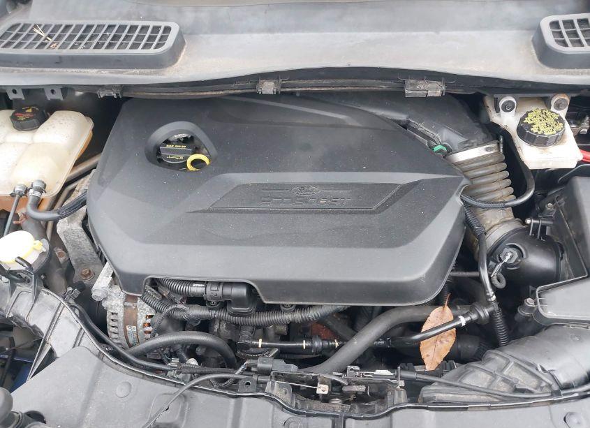 Photo 10 of 2014 Ford Escape SE (VIN 1FMCU9GX4EUD47870)