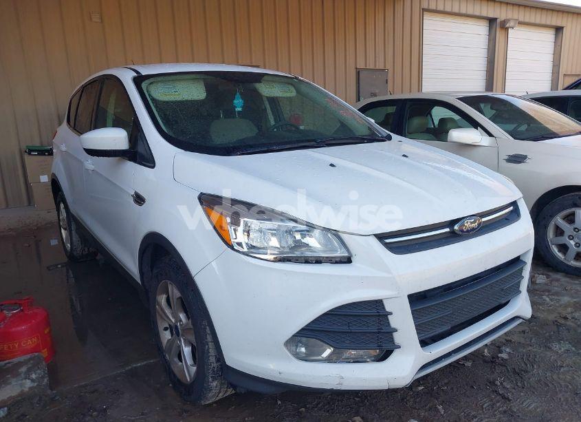 2014 Ford Escape SE (VIN 1FMCU9GX4EUD51983) main photo