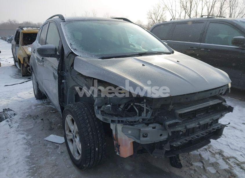 2014 Ford Escape SE (VIN 1FMCU9GX4EUE38413) main photo