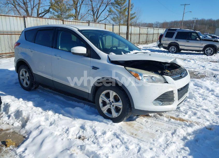 2015 Ford Escape SE (VIN 1FMCU9GX4FUC13619) main photo