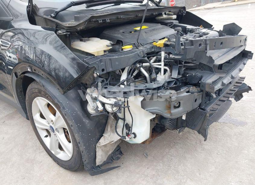 Photo 15 of 2015 Ford Escape SE (VIN 1FMCU9GX4FUC22238)