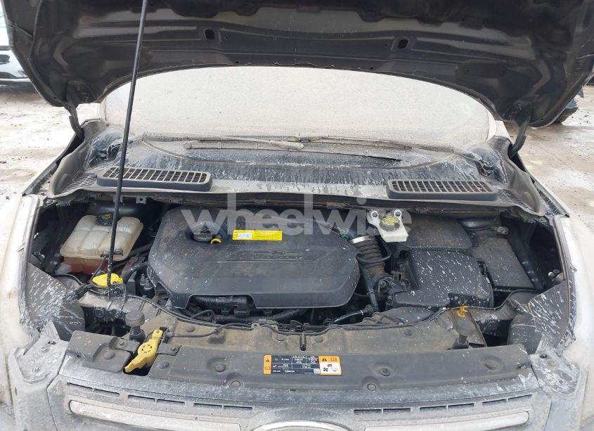 Photo 10 of 2016 Ford Escape SE (VIN 1FMCU9GX4GUA50052)