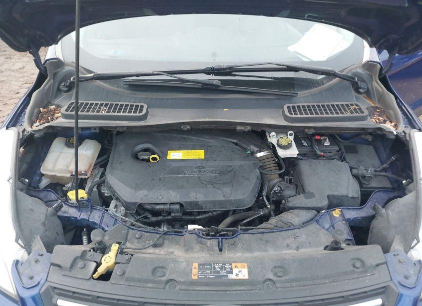 Photo 10 of 2016 Ford Escape SE (VIN 1FMCU9GX4GUB38194)