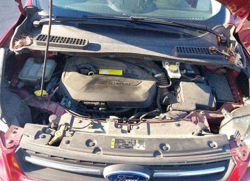 Photo 10 of 2016 Ford Escape SE (VIN 1FMCU9GX4GUB51558)