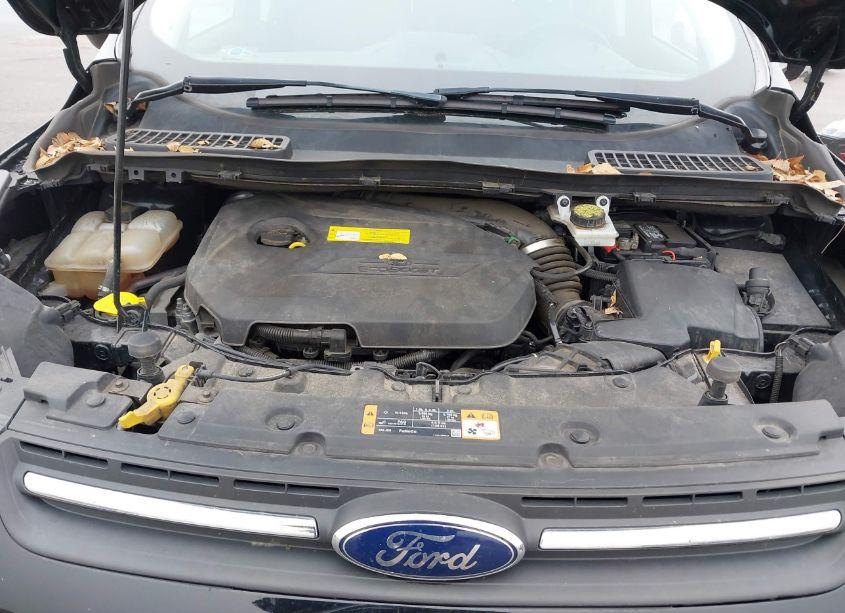 Photo 10 of 2016 Ford Escape SE (VIN 1FMCU9GX4GUC14531)
