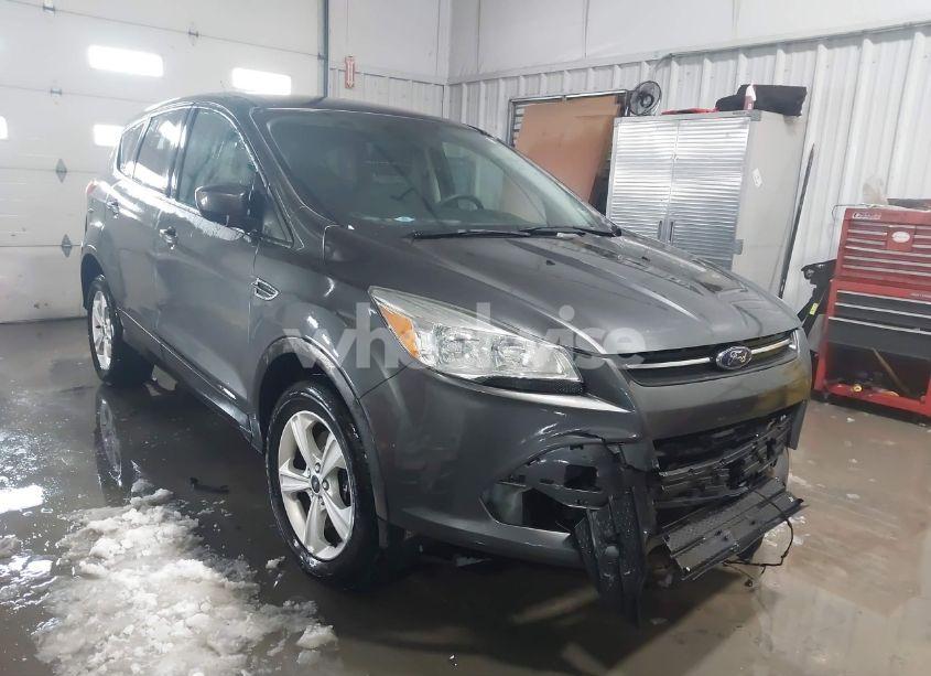 2016 Ford Escape SE (VIN 1FMCU9GX4GUC17865) main photo