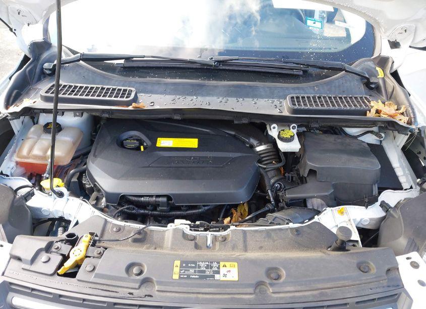 Photo 10 of 2016 Ford Escape SE (VIN 1FMCU9GX4GUC47867)