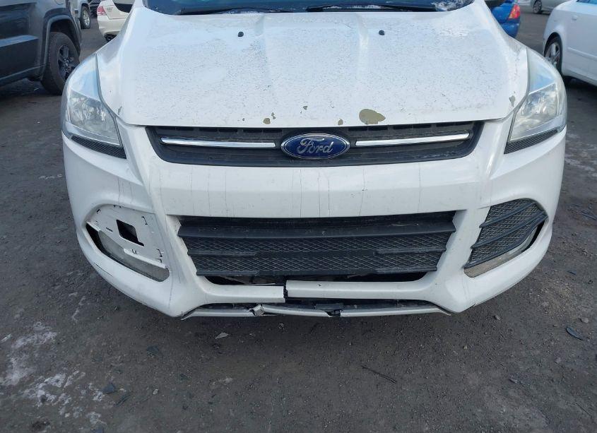 Photo 6 of 2016 Ford Escape SE (VIN 1FMCU9GX4GUC72350)