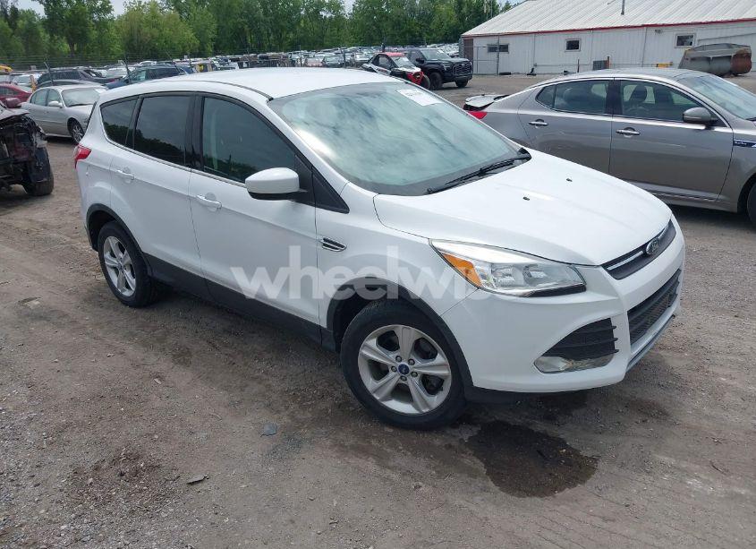 2013 Ford Escape SE (VIN 1FMCU9GX5DUA42439) main photo