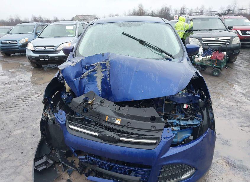 Photo 13 of 2013 Ford Escape SE (VIN 1FMCU9GX5DUA52257)