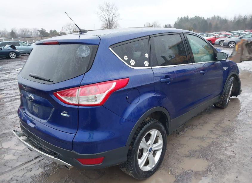Photo 4 of 2013 Ford Escape SE (VIN 1FMCU9GX5DUA52257)