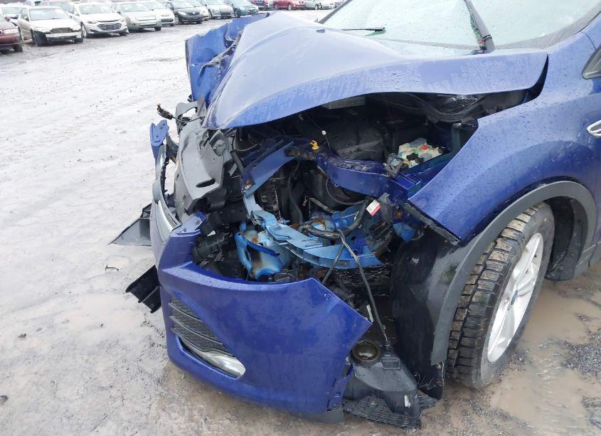 Photo 6 of 2013 Ford Escape SE (VIN 1FMCU9GX5DUA52257)