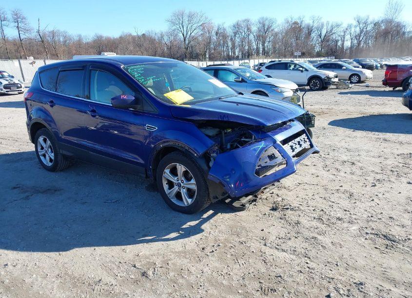2013 Ford Escape SE (VIN 1FMCU9GX5DUA97442) main photo