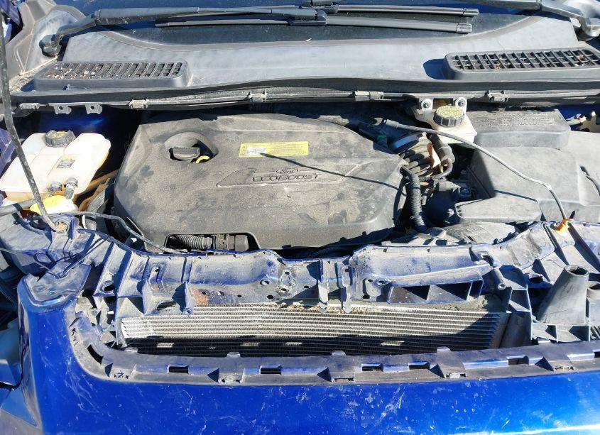 Photo 10 of 2013 Ford Escape SE (VIN 1FMCU9GX5DUA97442)