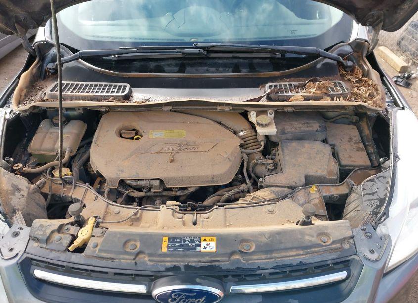 Photo 10 of 2013 Ford Escape SE (VIN 1FMCU9GX5DUB47157)