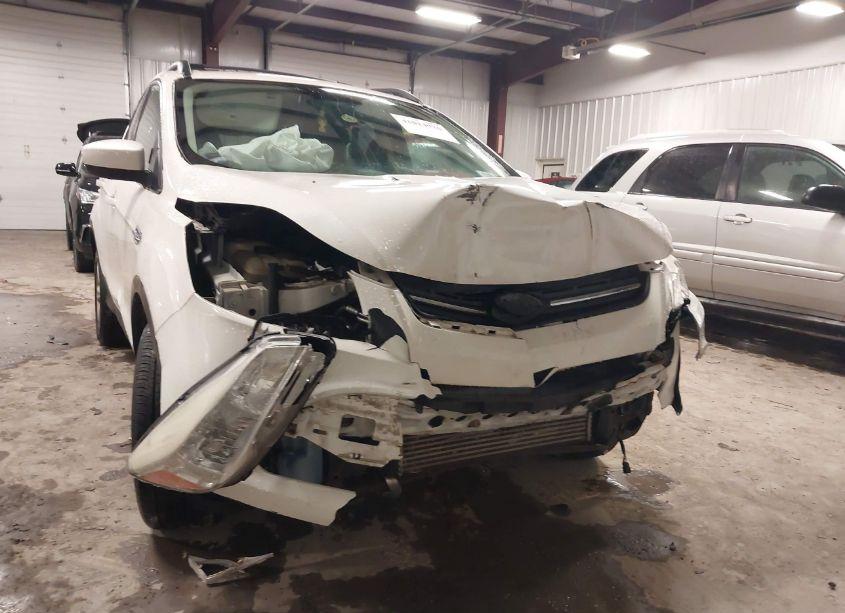 Photo 6 of 2013 Ford Escape SE (VIN 1FMCU9GX5DUB59597)