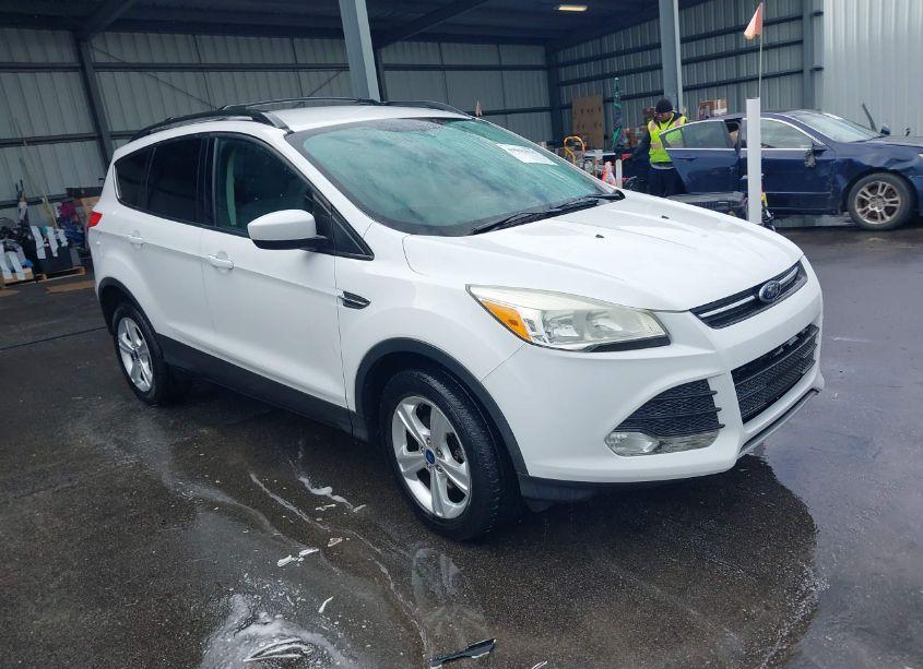 2013 Ford Escape SE (VIN 1FMCU9GX5DUB96665) main photo