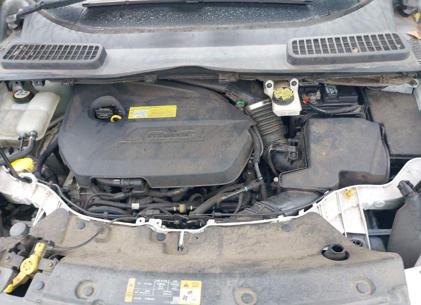 Photo 10 of 2013 Ford Escape SE (VIN 1FMCU9GX5DUB96665)