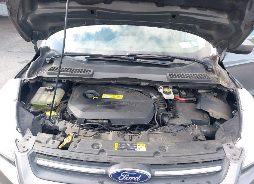 Photo 10 of 2013 Ford Escape SE (VIN 1FMCU9GX5DUD14472)