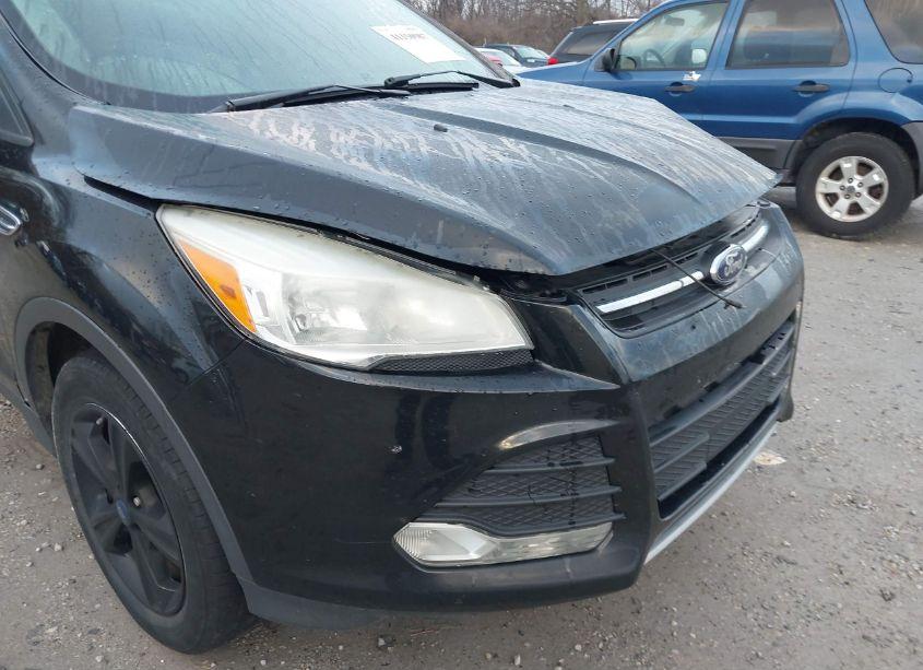 Photo 18 of 2013 Ford Escape SE (VIN 1FMCU9GX5DUD58343)