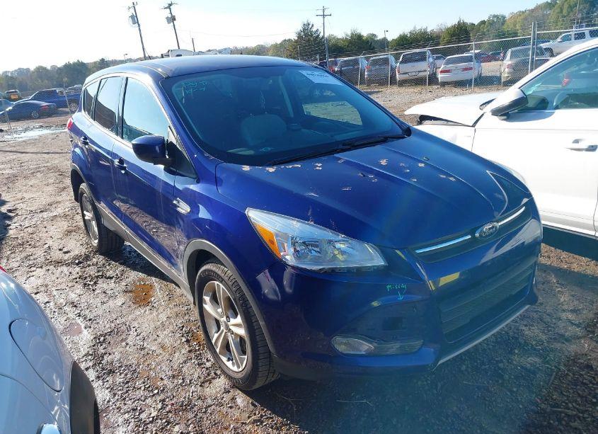 2014 Ford Escape SE (VIN 1FMCU9GX5EUA84496) main photo