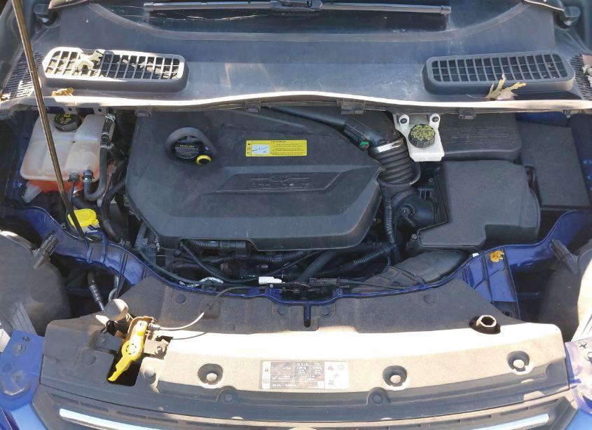 Photo 10 of 2014 Ford Escape SE (VIN 1FMCU9GX5EUA84496)