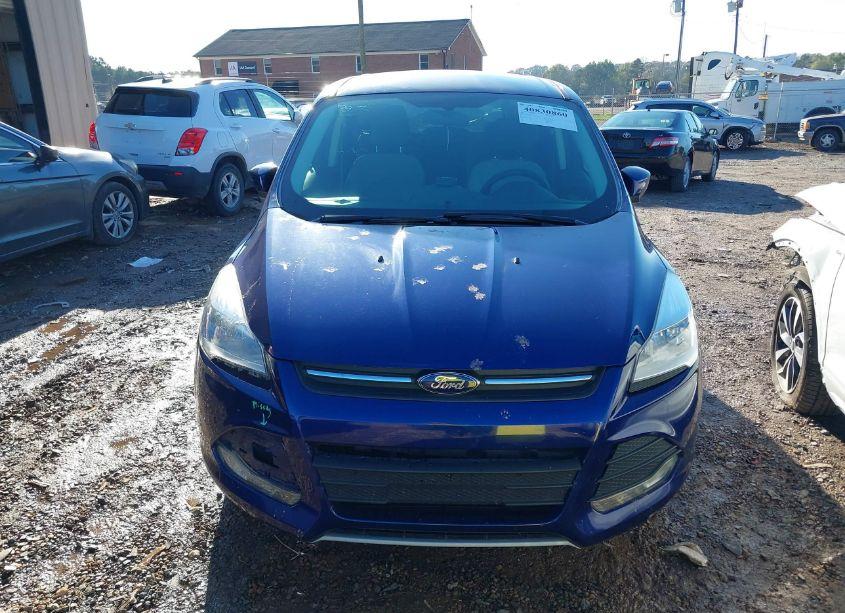 Photo 12 of 2014 Ford Escape SE (VIN 1FMCU9GX5EUA84496)